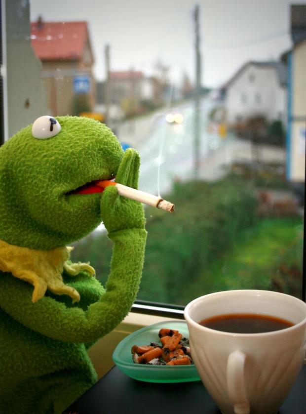 High Quality Kermit started the fire Blank Meme Template