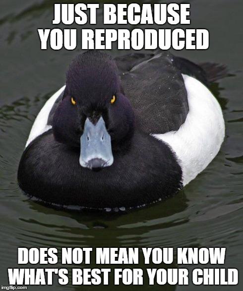 Revenge Duck. | JUST BECAUSE YOU REPRODUCED DOES NOT MEAN YOU KNOW WHAT'S BEST FOR YOUR CHILD | image tagged in revenge duck,AdviceAnimals | made w/ Imgflip meme maker