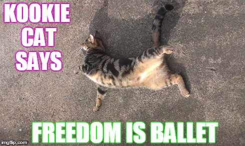 Kookie Cat UK.  | KOOKIE CAT SAYS FREEDOM IS BALLET | image tagged in ballet,cats,cat,kitten,kookie cat uk | made w/ Imgflip meme maker