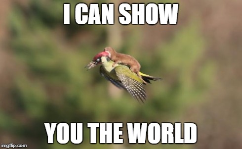 Cool weasel | I CAN SHOW YOU THE WORLD | image tagged in cool weasel | made w/ Imgflip meme maker