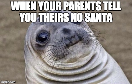 Awkward Moment Sealion | WHEN YOUR PARENTS TELL YOU THEIRS NO SANTA | image tagged in memes,awkward moment sealion | made w/ Imgflip meme maker