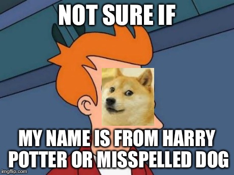 Futurama Fry | NOT SURE IF MY NAME IS FROM HARRY POTTER OR MISSPELLED DOG | image tagged in memes,futurama fry | made w/ Imgflip meme maker