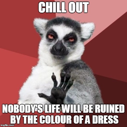 Chill Out Lemur | CHILL OUT NOBODY'S LIFE WILL BE RUINED BY THE COLOUR OF A DRESS | image tagged in memes,chill out lemur | made w/ Imgflip meme maker