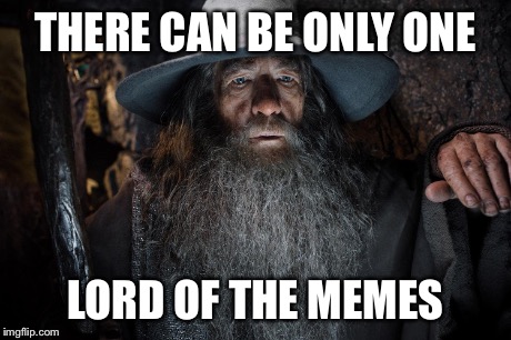 Lord of the memes | THERE CAN BE ONLY ONE LORD OF THE MEMES | image tagged in lotr | made w/ Imgflip meme maker