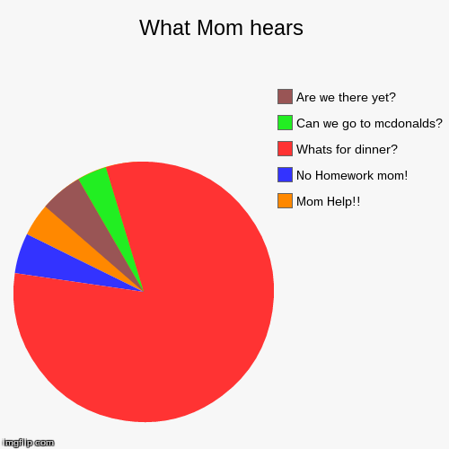 image tagged in funny,pie charts | made w/ Imgflip chart maker