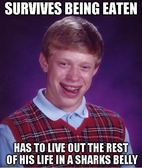 Bad Luck Brian Meme | SURVIVES BEING EATEN HAS TO LIVE OUT THE REST OF HIS LIFE IN A SHARKS BELLY | image tagged in memes,bad luck brian | made w/ Imgflip meme maker