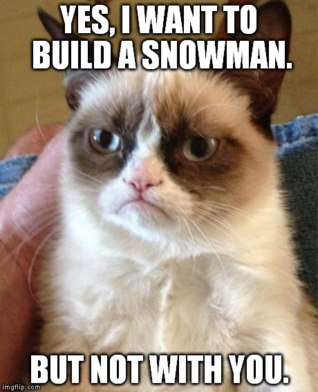 Grumpy Cat | YES, I WANT TO BUILD A SNOWMAN. BUT NOT WITH YOU. | image tagged in memes,grumpy cat | made w/ Imgflip meme maker