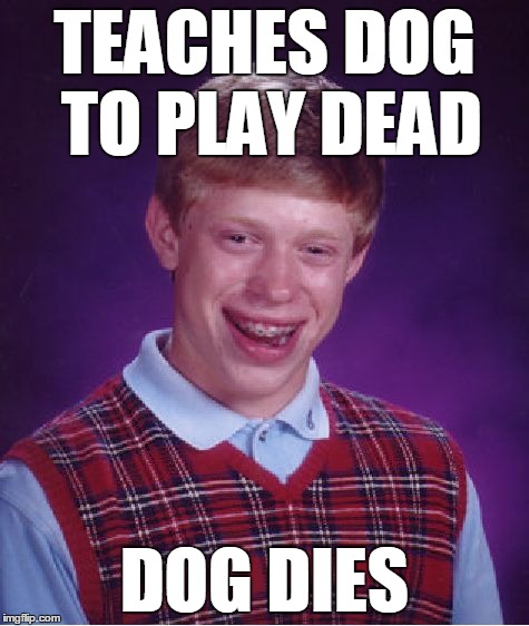 Bad Luck Brian Meme | TEACHES DOG TO PLAY DEAD DOG DIES | image tagged in memes,bad luck brian | made w/ Imgflip meme maker