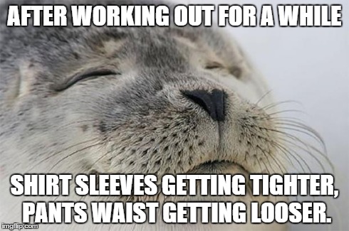 Satisfied Seal | AFTER WORKING OUT FOR A WHILE SHIRT SLEEVES GETTING TIGHTER, PANTS WAIST GETTING LOOSER. | image tagged in memes,satisfied seal,AdviceAnimals | made w/ Imgflip meme maker