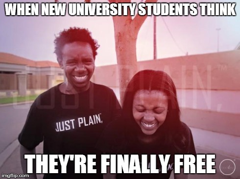 WHEN NEW UNIVERSITY STUDENTSTHINK THEY'RE FINALLY FREE | image tagged in just plain comedy | made w/ Imgflip meme maker
