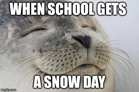 Satisfied Seal | WHEN SCHOOL GETS A SNOW DAY | image tagged in memes,satisfied seal | made w/ Imgflip meme maker