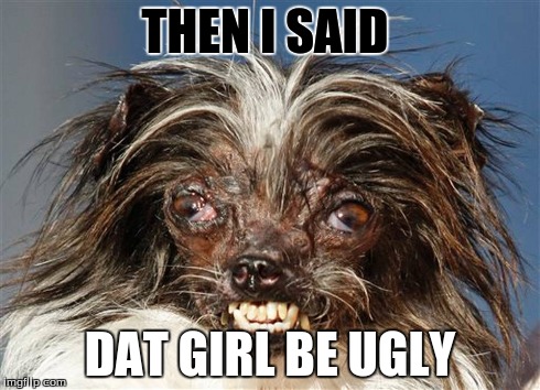 Hypocritical dog  | THEN I SAID DAT GIRL BE UGLY | image tagged in memes | made w/ Imgflip meme maker