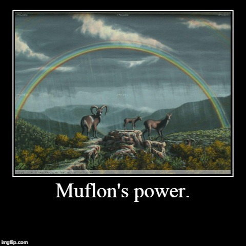 Muflon's power. | | image tagged in funny,demotivationals | made w/ Imgflip demotivational maker