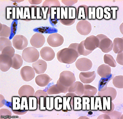 FINALLY FIND A HOST BAD LUCK BRIAN | made w/ Imgflip meme maker