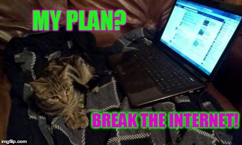 Kookie Cat UK | MY PLAN? BREAK THE INTERNET! | image tagged in crying because of cute,cat,kitten,geek,kookie cat uk internet | made w/ Imgflip meme maker
