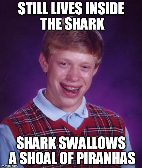 Bad Luck Brian Meme | STILL LIVES INSIDE THE SHARK SHARK SWALLOWS A SHOAL OF PIRANHAS | image tagged in memes,bad luck brian | made w/ Imgflip meme maker