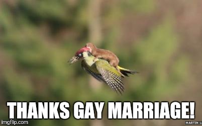 Thanks gay marriage  | THANKS GAY MARRIAGE! | image tagged in gay marriage,right wing,republican | made w/ Imgflip meme maker