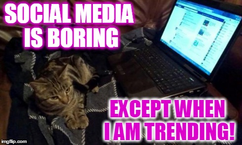 Kookie Cat UK | SOCIAL MEDIA IS BORING EXCEPT WHEN I AM TRENDING! | image tagged in geek,social media,cat,kookie cat uk internet | made w/ Imgflip meme maker