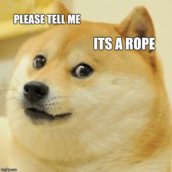 Doge Meme | PLEASE TELL ME ITS A ROPE | image tagged in memes,doge | made w/ Imgflip meme maker