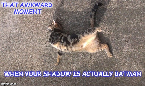 Kookie Cat UK | THAT AWKWARD MOMENT WHEN YOUR SHADOW IS ACTUALLY BATMAN | image tagged in kookie cat uk,geek,cat,batman | made w/ Imgflip meme maker