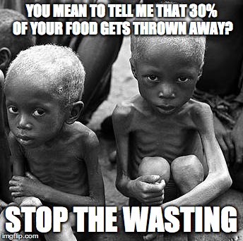 YOU MEAN TO TELL ME THAT 30% OF YOUR FOOD GETS THROWN AWAY? STOP THE WASTING | image tagged in starvation | made w/ Imgflip meme maker