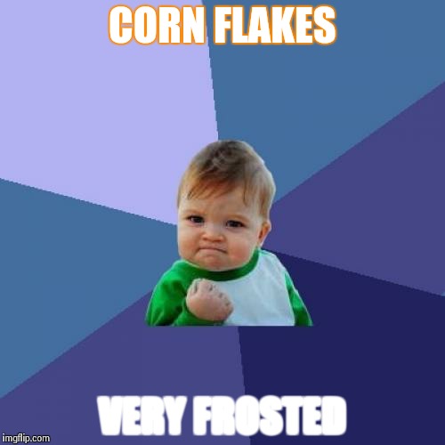 Success Kid Meme | CORN FLAKES VERY FROSTED | image tagged in memes,success kid | made w/ Imgflip meme maker