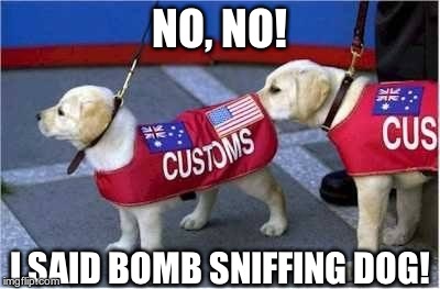 NO, NO! I SAID BOMB SNIFFING DOG! | made w/ Imgflip meme maker