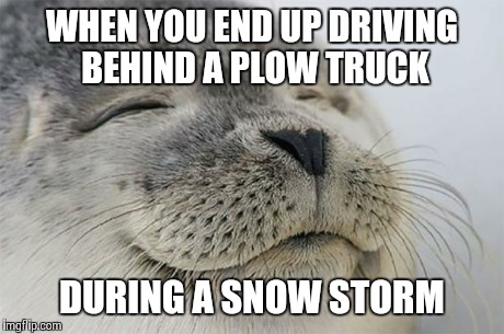 Satisfied Seal | WHEN YOU END UP DRIVING BEHIND A PLOW TRUCK DURING A SNOW STORM | image tagged in memes,satisfied seal | made w/ Imgflip meme maker