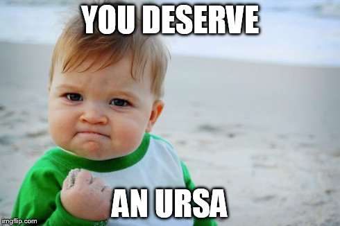 Success Kid Original Meme | YOU DESERVE AN URSA | image tagged in memes,success kid original | made w/ Imgflip meme maker