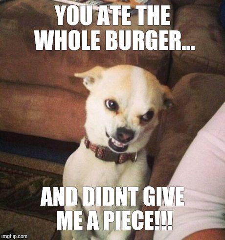 gym | YOU ATE THE WHOLE BURGER... AND DIDNT GIVE ME A PIECE!!! | image tagged in gym | made w/ Imgflip meme maker