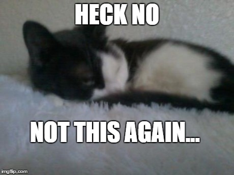 How my cat feels the majority of the time | HECK NO NOT THIS AGAIN... | image tagged in death stare,cats,i don't care | made w/ Imgflip meme maker