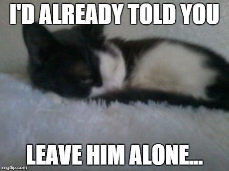How my cat feels about her favorite football player aka Marshawn Lynch. | I'D ALREADY TOLD YOU LEAVE HIM ALONE... | image tagged in football,death stare,i don't care,cats,marshawn lynch | made w/ Imgflip meme maker