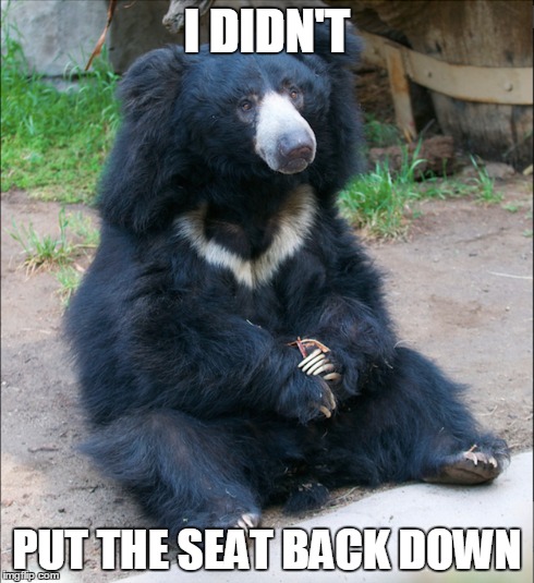 I DIDN'T PUT THE SEAT BACK DOWN | made w/ Imgflip meme maker