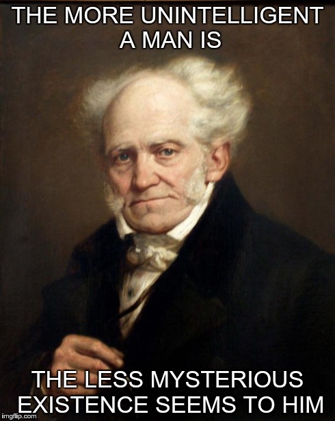 schopenhauer | THE MORE UNINTELLIGENT A MAN IS THE LESS MYSTERIOUS EXISTENCE SEEMS TO HIM | image tagged in schopenhauer | made w/ Imgflip meme maker
