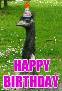 emu | HAPPY BIRTHDAY | image tagged in emu | made w/ Imgflip meme maker