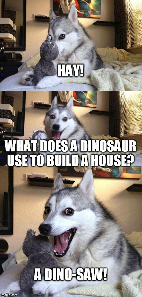 Bad Pun Dog | HAY! WHAT DOES A DINOSAUR USE TO BUILD A HOUSE? A DINO-SAW! | image tagged in memes,bad pun dog | made w/ Imgflip meme maker