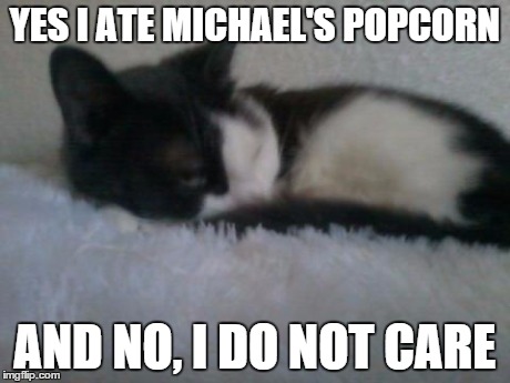 Michael Jackson popcorn is MIA | YES I ATE MICHAEL'S POPCORN AND NO, I DO NOT CARE | image tagged in michael jackson popcorn,michael jackson,cats | made w/ Imgflip meme maker