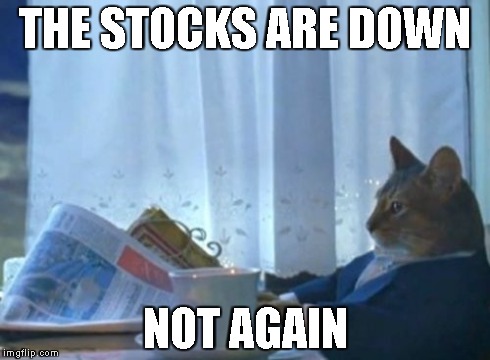 I Should Buy A Boat Cat | THE STOCKS ARE DOWN NOT AGAIN | image tagged in memes,i should buy a boat cat | made w/ Imgflip meme maker