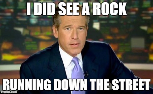 Brian Williams Was There Meme | I DID SEE A ROCK RUNNING DOWN THE STREET | image tagged in memes,brian williams was there | made w/ Imgflip meme maker
