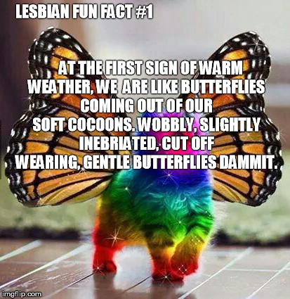 Rainbow unicorn butterfly kitten | LESBIAN FUN FACT #1








































              AT THE FIRST SIGN OF WARM WEATHER, WE  ARE LIKE BUTTERFLIES COMING | image tagged in rainbow unicorn butterfly kitten | made w/ Imgflip meme maker