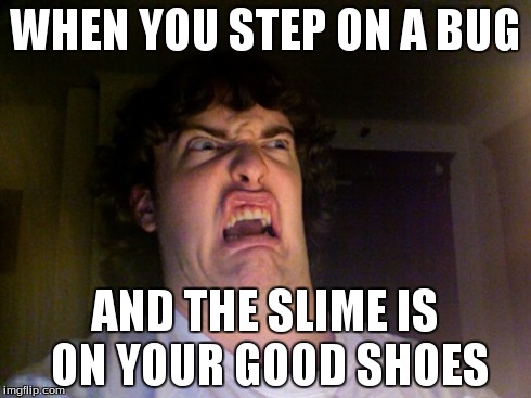 Oh No | WHEN YOU STEP ON A BUG AND THE SLIME IS ON YOUR GOOD SHOES | image tagged in memes,oh no | made w/ Imgflip meme maker