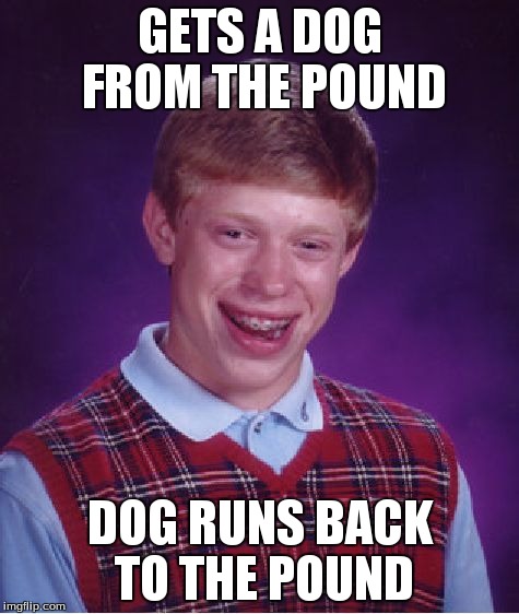 Bad Luck Brian | GETS A DOG FROM THE POUND DOG RUNS BACK TO THE POUND | image tagged in memes,bad luck brian | made w/ Imgflip meme maker