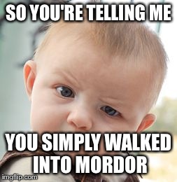 Skeptical Baby Meme | SO YOU'RE TELLING ME YOU SIMPLY WALKED INTO MORDOR | image tagged in memes,skeptical baby | made w/ Imgflip meme maker
