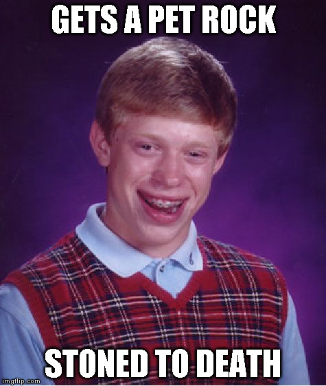 Bad Luck Brian Meme | GETS A PET ROCK STONED TO DEATH | image tagged in memes,bad luck brian | made w/ Imgflip meme maker