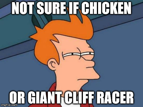 Futurama Fry Meme | NOT SURE IF CHICKEN OR GIANT CLIFF RACER | image tagged in memes,futurama fry | made w/ Imgflip meme maker