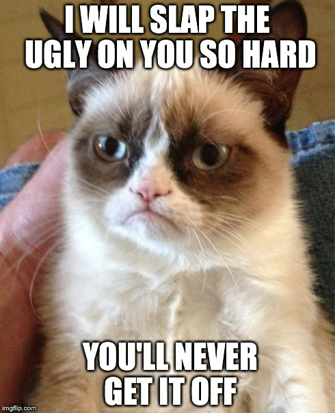 Grumpy Cat Meme | I WILL SLAP THE UGLY ON YOU SO HARD YOU'LL NEVER GET IT OFF | image tagged in memes,grumpy cat | made w/ Imgflip meme maker
