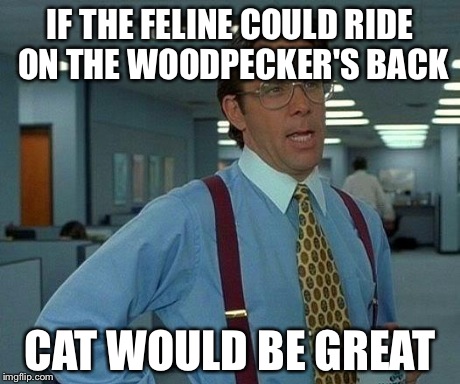 That Would Be Great Meme | IF THE FELINE COULD RIDE ON THE WOODPECKER'S BACK CAT WOULD BE GREAT | image tagged in memes,that would be great | made w/ Imgflip meme maker