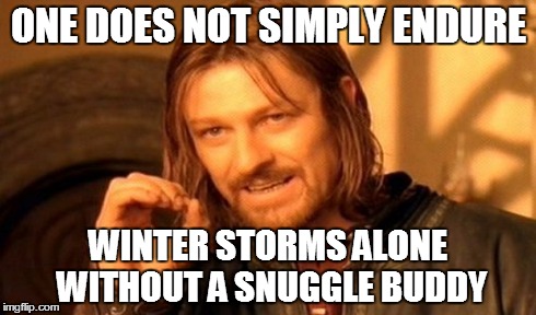 One Does Not Simply | ONE DOES NOT SIMPLY ENDURE WINTER STORMS ALONE WITHOUT A SNUGGLE BUDDY | image tagged in memes,one does not simply | made w/ Imgflip meme maker