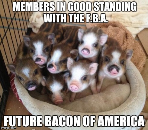 BACON! | MEMBERS IN GOOD STANDING WITH THE F.B.A. FUTURE BACON OF AMERICA | image tagged in piglets,memes | made w/ Imgflip meme maker