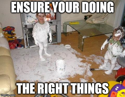 Doing the right things? | ENSURE YOUR DOING THE RIGHT THINGS | image tagged in doing it right | made w/ Imgflip meme maker